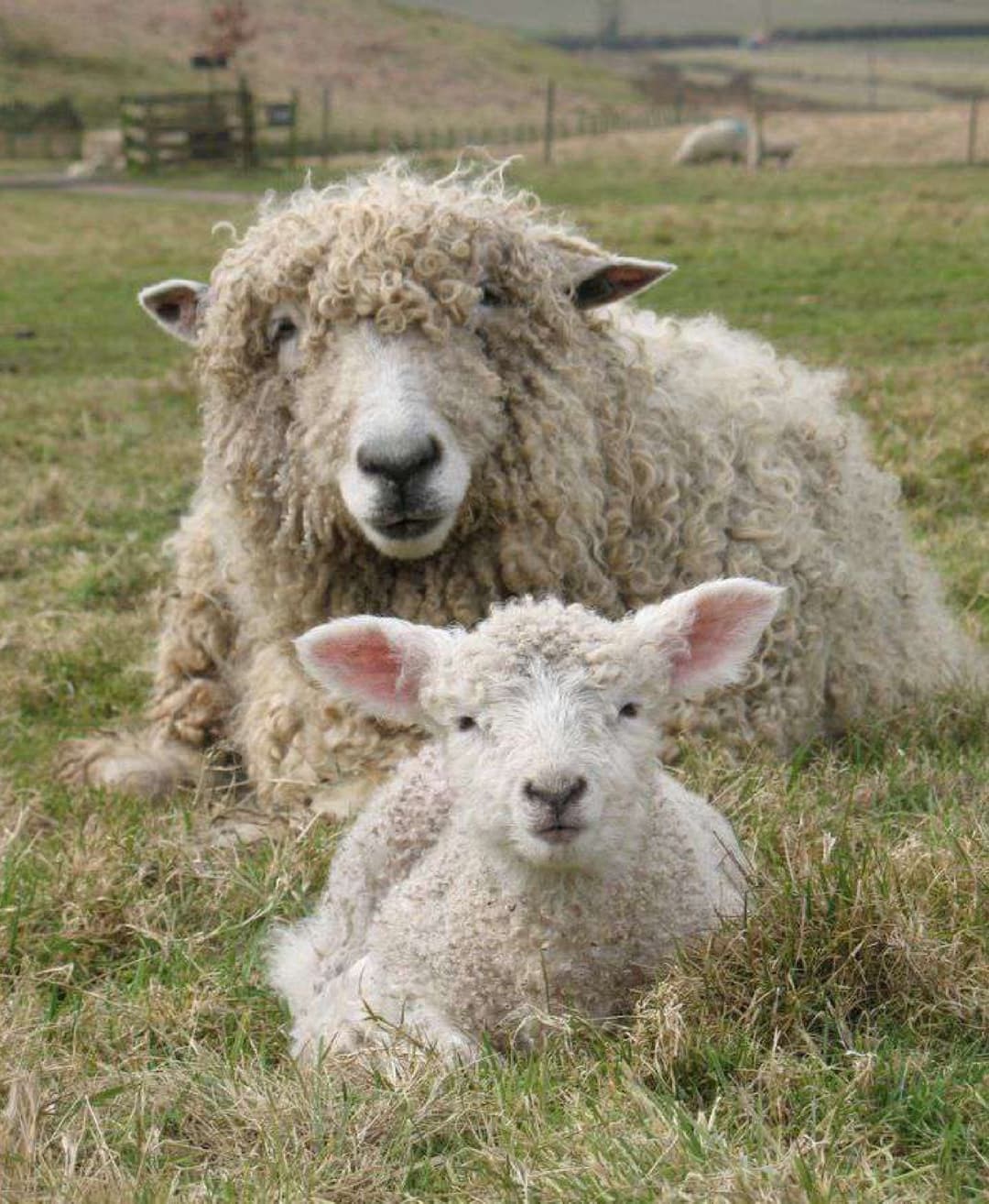 Farm sustainability
